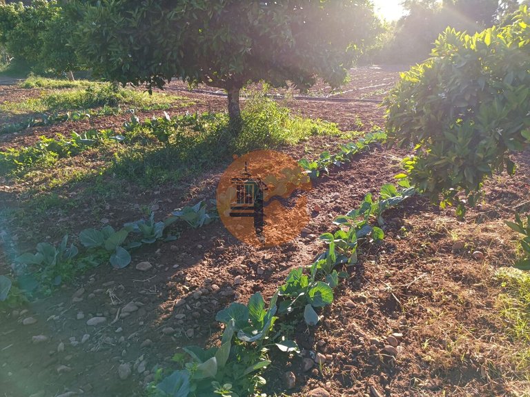 Plot for Sale in Castro Marim, Castro Marim, Portugal 16