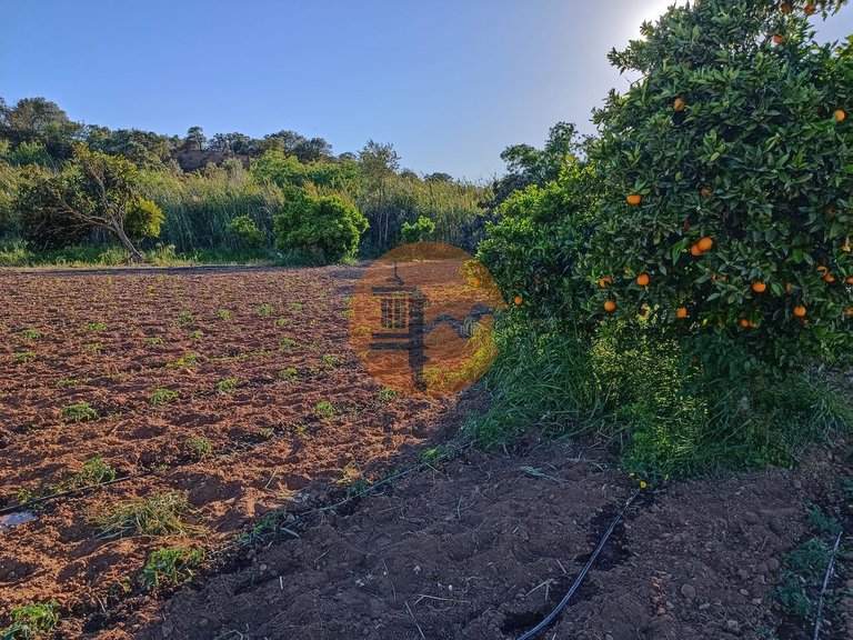 Plot for Sale in Castro Marim, Castro Marim, Portugal 17