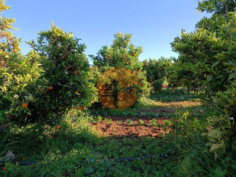 Plot for Sale in Castro Marim, Castro Marim, Portugal 19