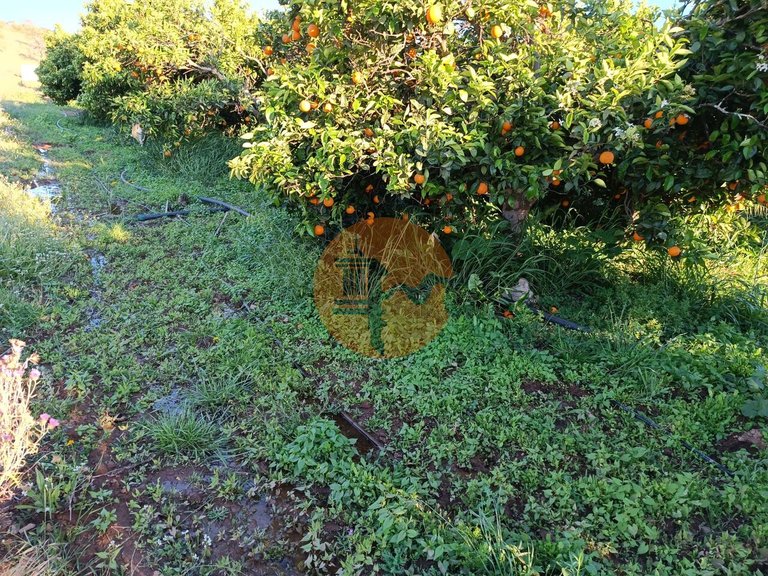 Plot for Sale in Castro Marim, Castro Marim, Portugal 21