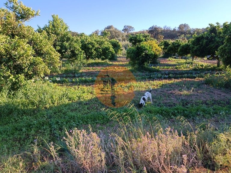 Plot for Sale in Castro Marim, Castro Marim, Portugal 23