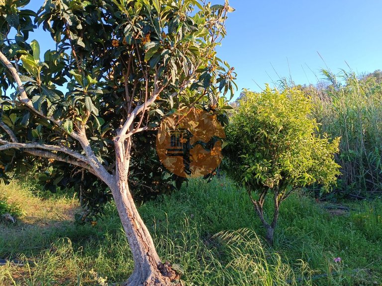 Plot for Sale in Castro Marim, Castro Marim, Portugal 25