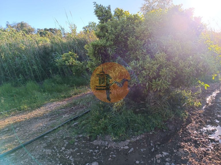Plot for Sale in Castro Marim, Castro Marim, Portugal 29