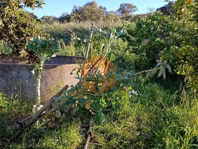 Plot for Sale in Castro Marim, Castro Marim, Portugal 30