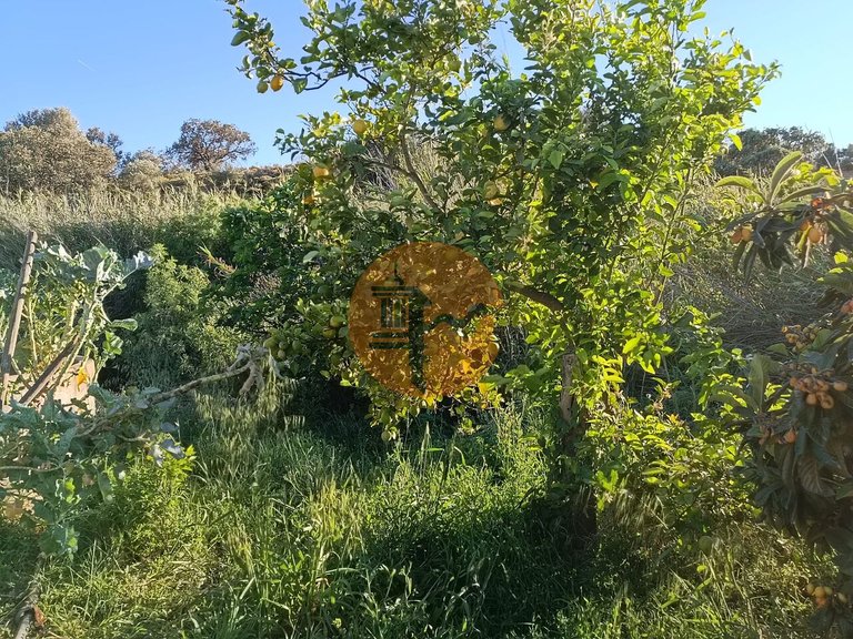 Plot for Sale in Castro Marim, Castro Marim, Portugal 32
