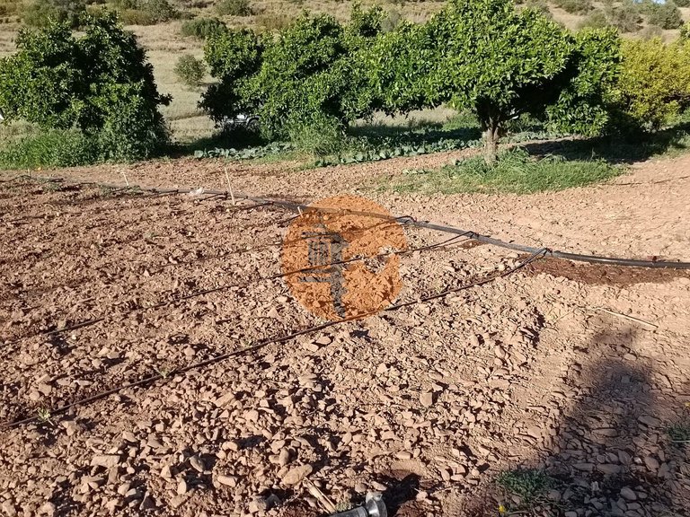 Plot for Sale in Castro Marim, Castro Marim, Portugal 33