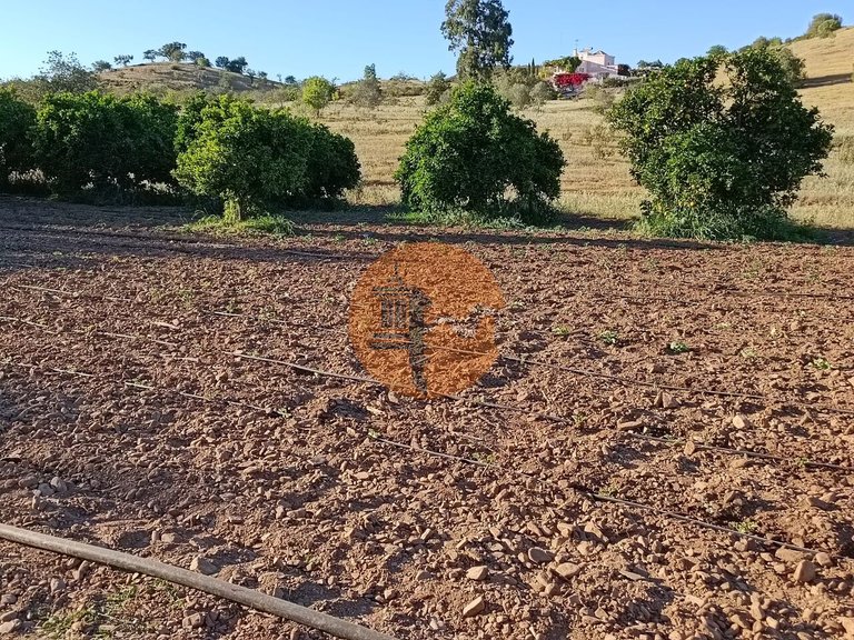 Plot for Sale in Castro Marim, Castro Marim, Portugal 34