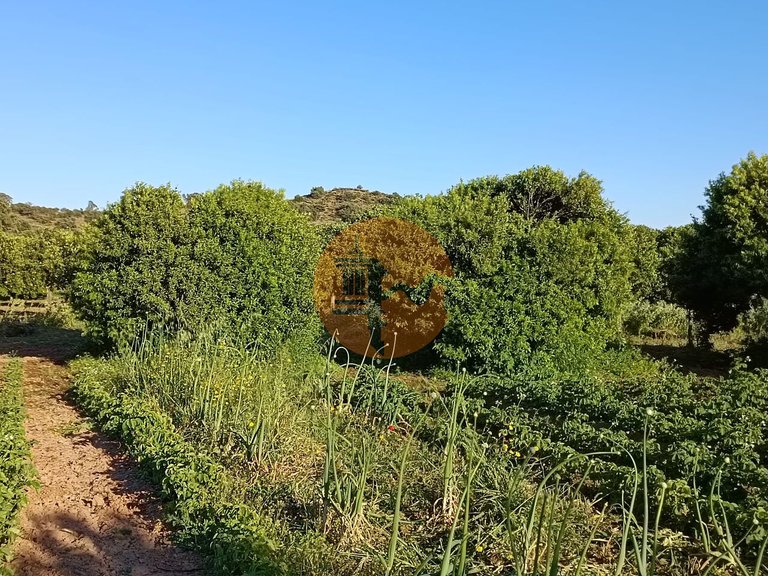 Plot for Sale in Castro Marim, Castro Marim, Portugal 43