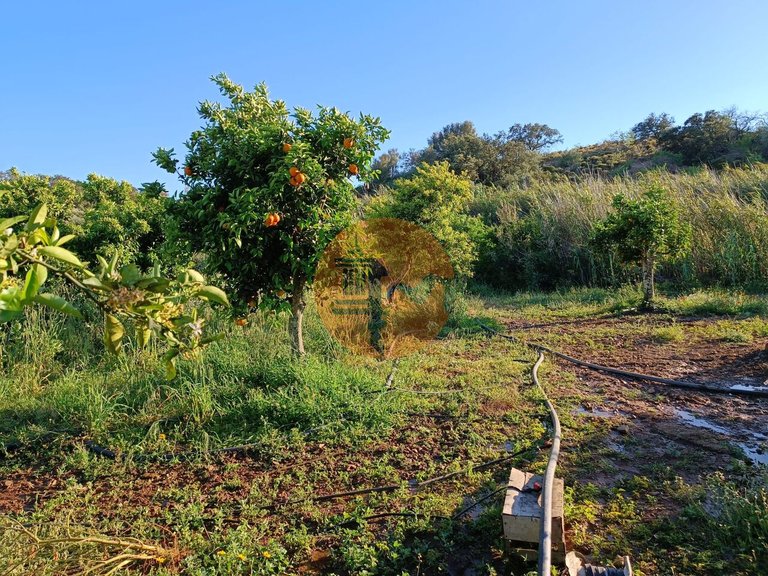 Plot for Sale in Castro Marim, Castro Marim, Portugal 1