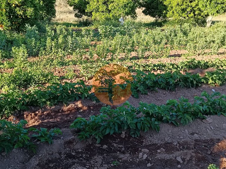 Plot for Sale in Castro Marim, Castro Marim, Portugal 45