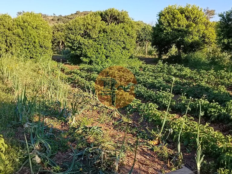 Plot for Sale in Castro Marim, Castro Marim, Portugal 47