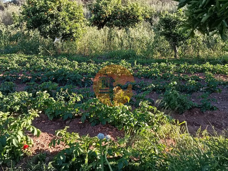Plot for Sale in Castro Marim, Castro Marim, Portugal 48