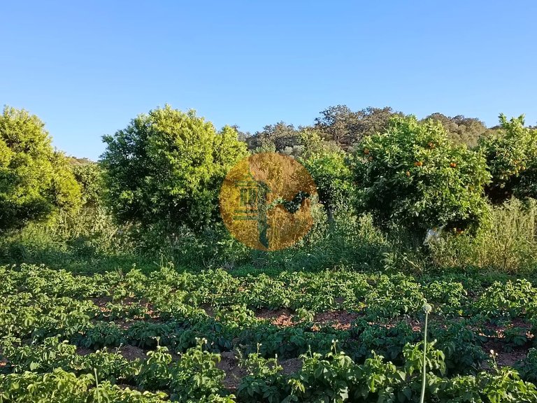 Plot for Sale in Castro Marim, Castro Marim, Portugal 49