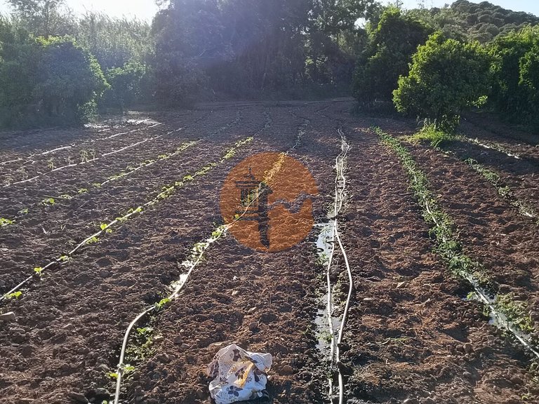 Plot for Sale in Castro Marim, Castro Marim, Portugal 5