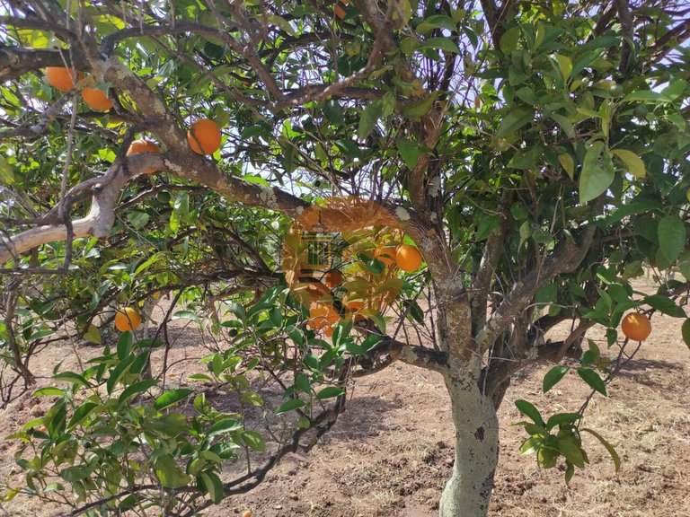 Plot for Sale in Castro Marim, Castro Marim, Portugal 46