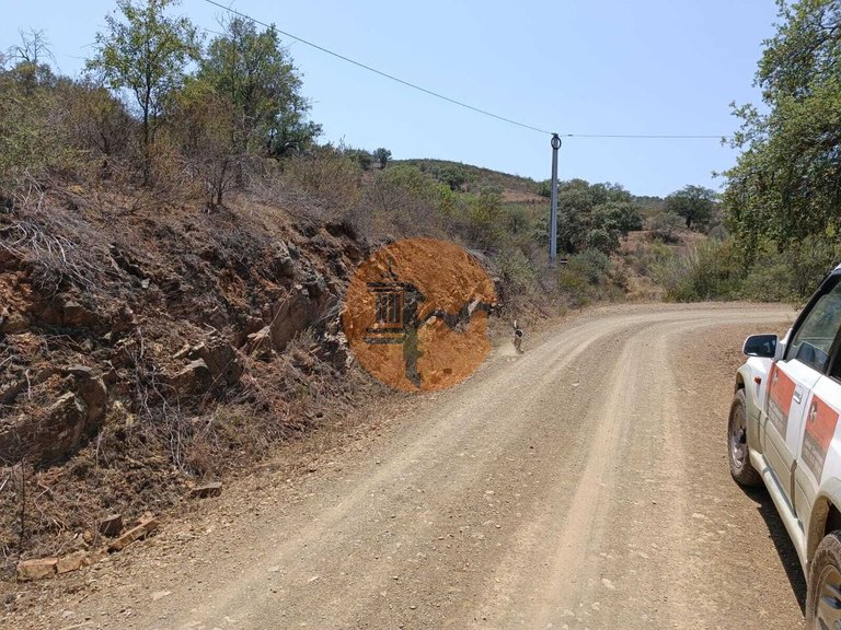 Plot for Sale in Azinhal, Castro Marim, Portugal 5