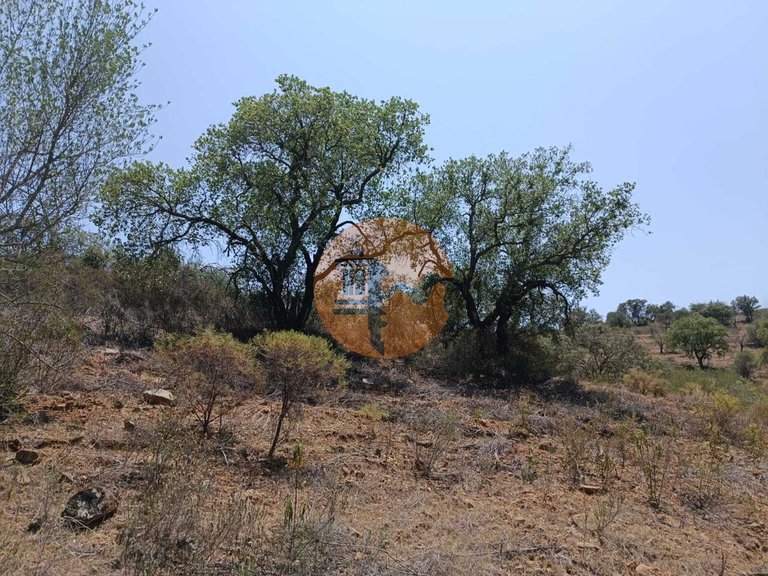Plot for Sale in Azinhal, Castro Marim, Portugal 9
