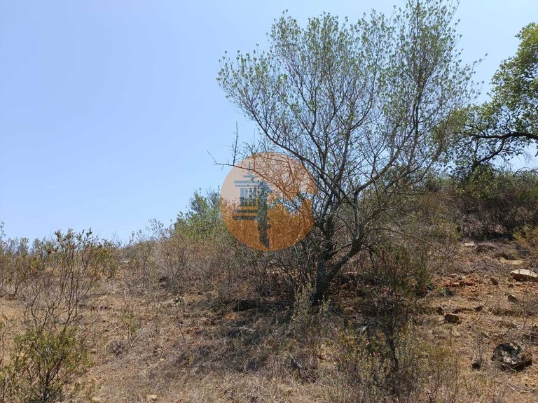 Plot for Sale in Azinhal, Castro Marim, Portugal 11
