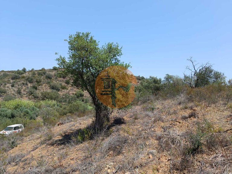 Plot for Sale in Azinhal, Castro Marim, Portugal 12