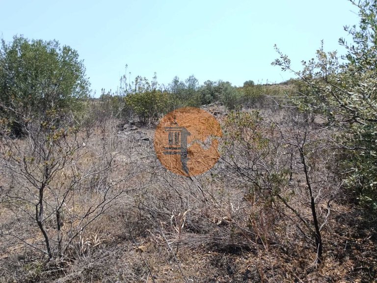 Plot for Sale in Azinhal, Castro Marim, Portugal 24
