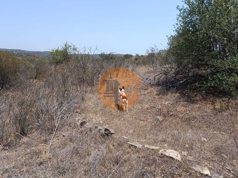 Plot for Sale in Azinhal, Castro Marim, Portugal 25