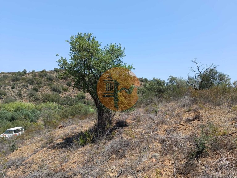 Plot for Sale in Azinhal, Castro Marim, Portugal 27