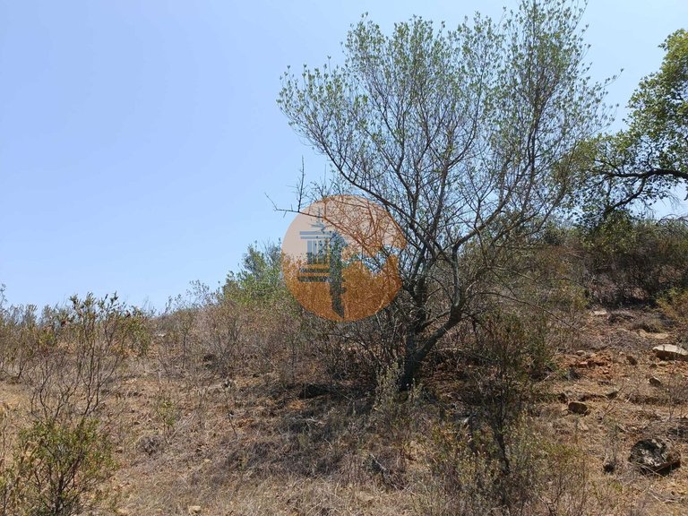Plot for Sale in Azinhal, Castro Marim, Portugal 28