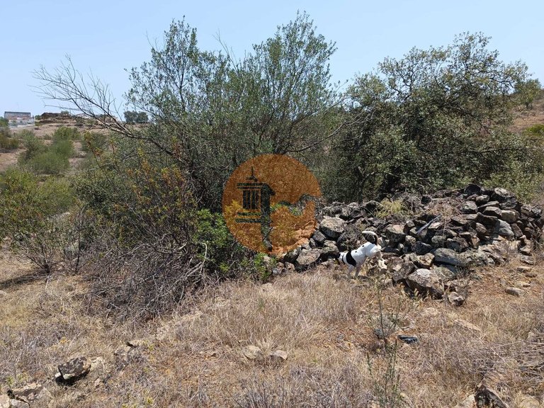 Plot for Sale in Azinhal, Castro Marim, Portugal 34