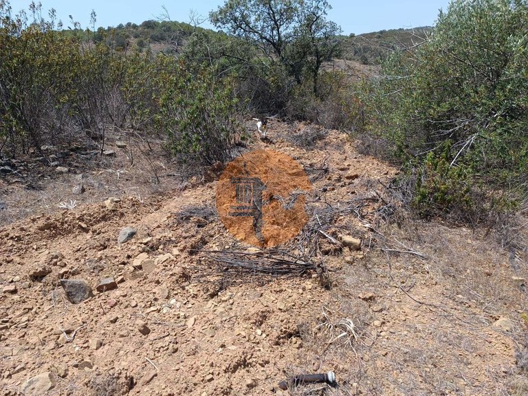 Plot for Sale in Azinhal, Castro Marim, Portugal 35