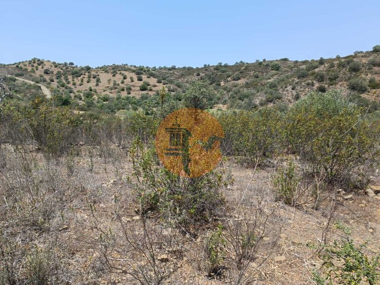Plot for Sale in Azinhal, Castro Marim, Portugal 36