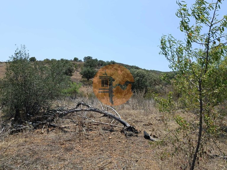 Plot for Sale in Azinhal, Castro Marim, Portugal 39