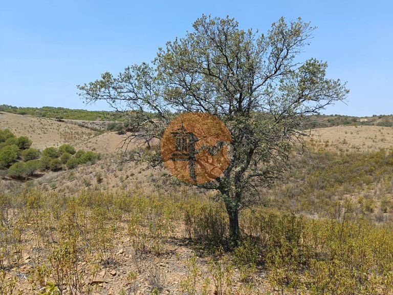 Plot for Sale in Azinhal, Castro Marim, Portugal 3
