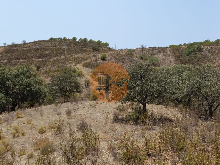 Plot for Sale in Azinhal, Castro Marim, Portugal 5
