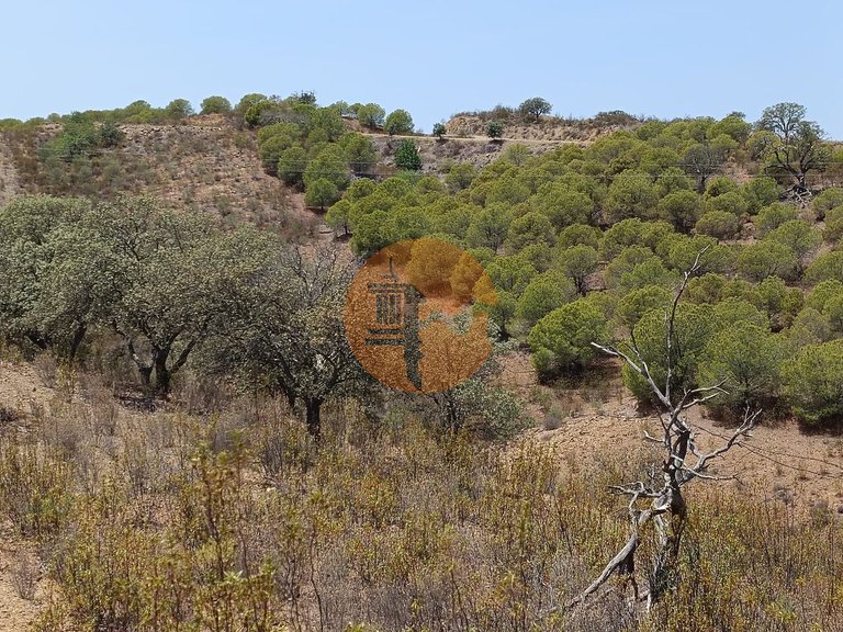 Plot for Sale in Azinhal, Castro Marim, Portugal 7