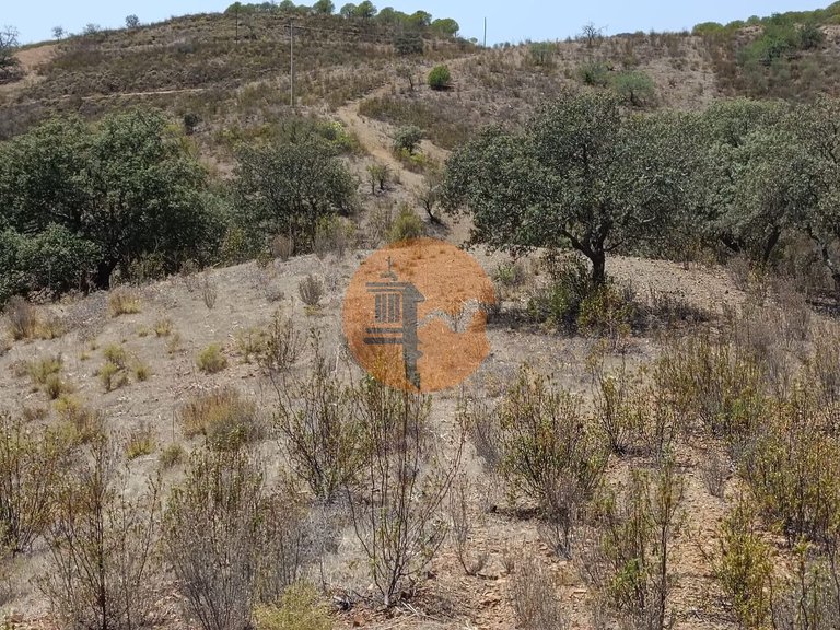 Plot for Sale in Azinhal, Castro Marim, Portugal 9