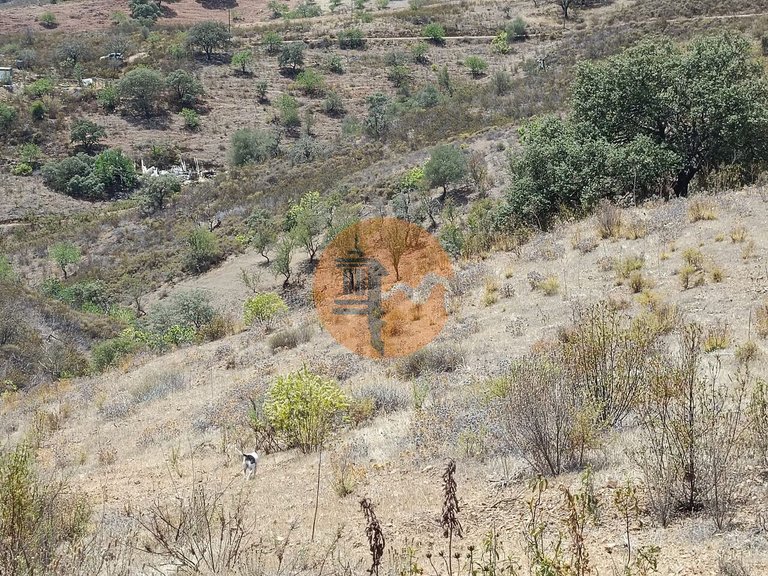 Plot for Sale in Azinhal, Castro Marim, Portugal 12