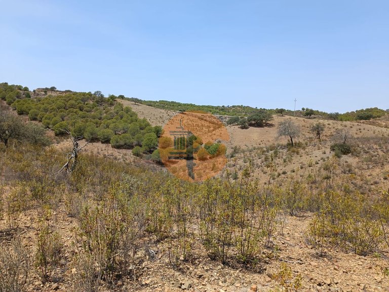 Plot for Sale in Azinhal, Castro Marim, Portugal 13