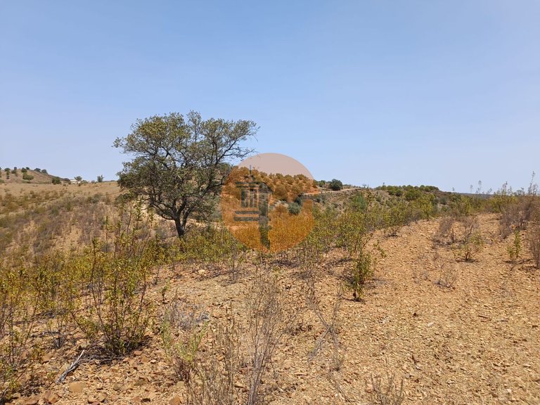 Plot for Sale in Azinhal, Castro Marim, Portugal 15