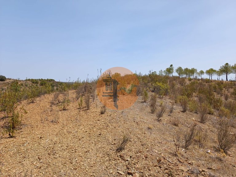 Plot for Sale in Azinhal, Castro Marim, Portugal 16