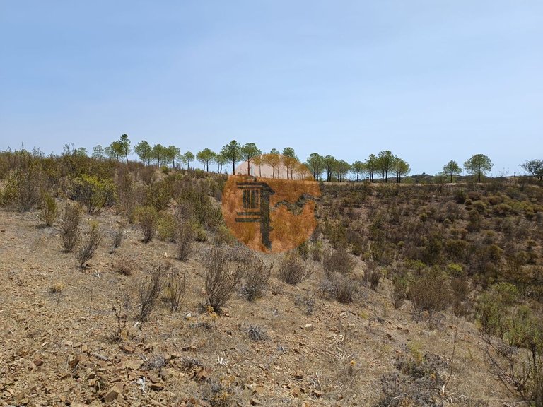 Plot for Sale in Azinhal, Castro Marim, Portugal 17
