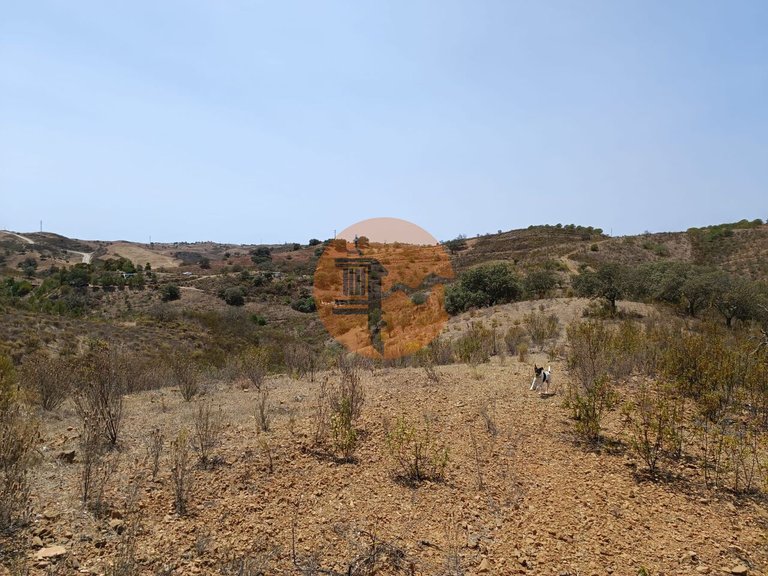 Plot for Sale in Azinhal, Castro Marim, Portugal 22