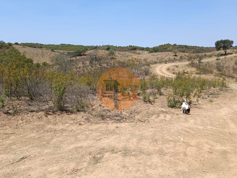 Plot for Sale in Azinhal, Castro Marim, Portugal 31