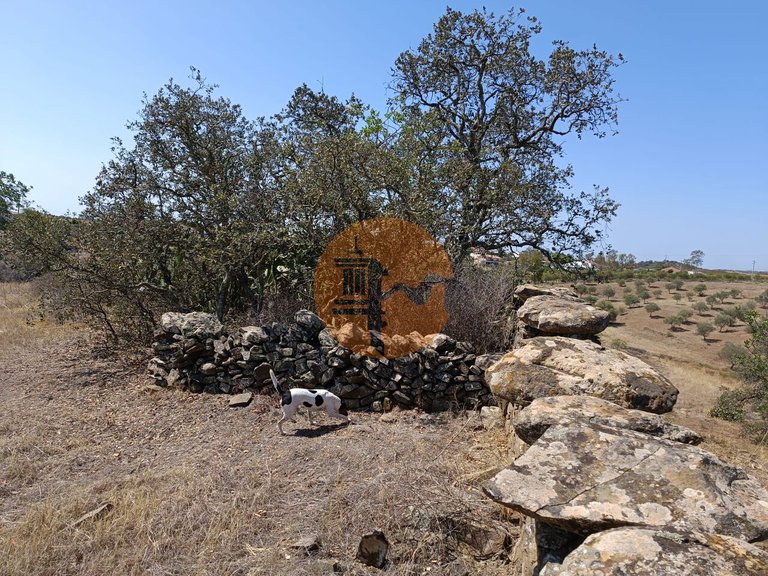 Plot for Sale in Azinhal, Castro Marim, Portugal 7