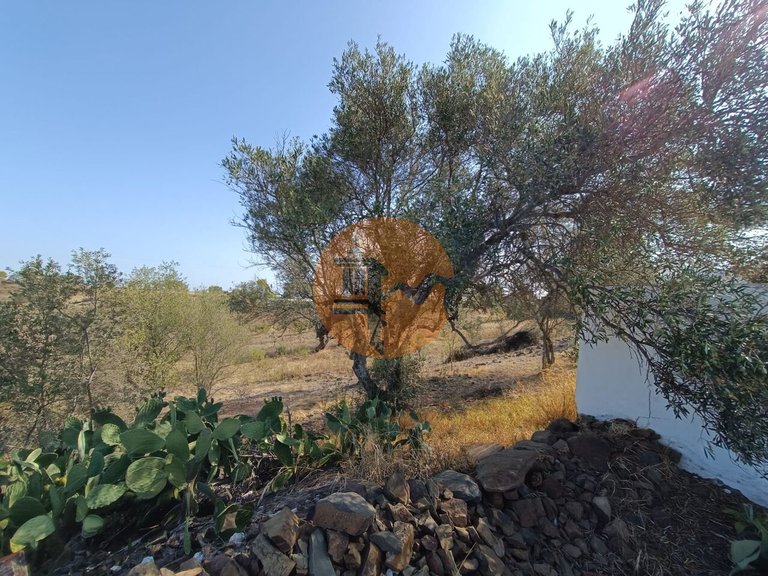 Plot for Sale in Azinhal, Castro Marim, Portugal 15