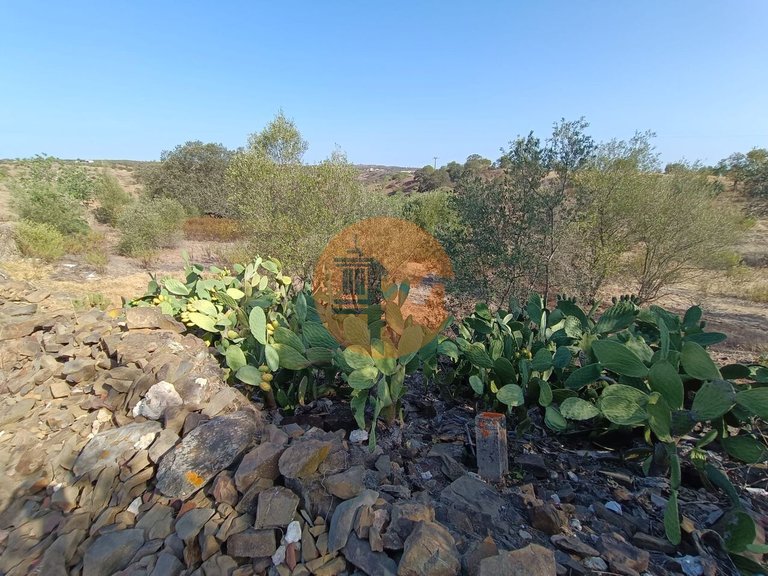 Plot for Sale in Azinhal, Castro Marim, Portugal 16