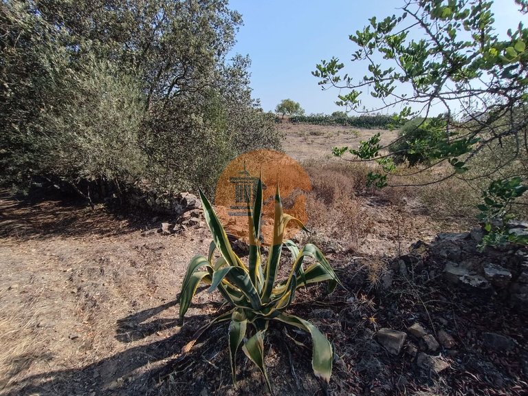 Plot for Sale in Azinhal, Castro Marim, Portugal 17