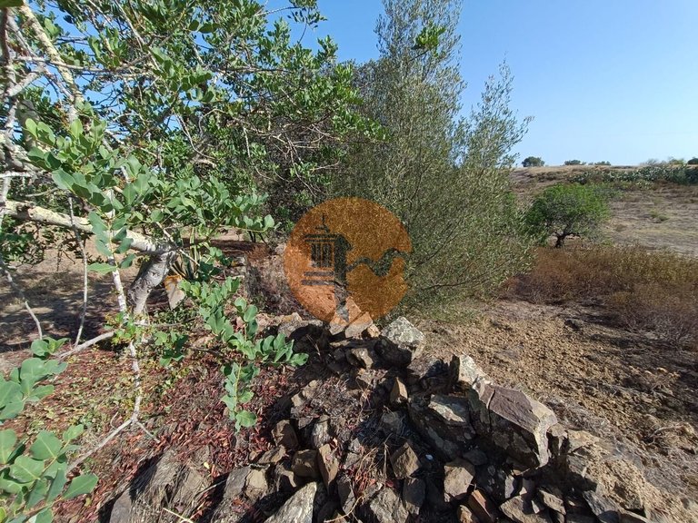 Plot for Sale in Azinhal, Castro Marim, Portugal 18