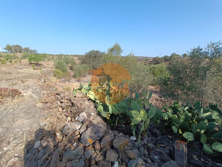 Plot for Sale in Azinhal, Castro Marim, Portugal 19