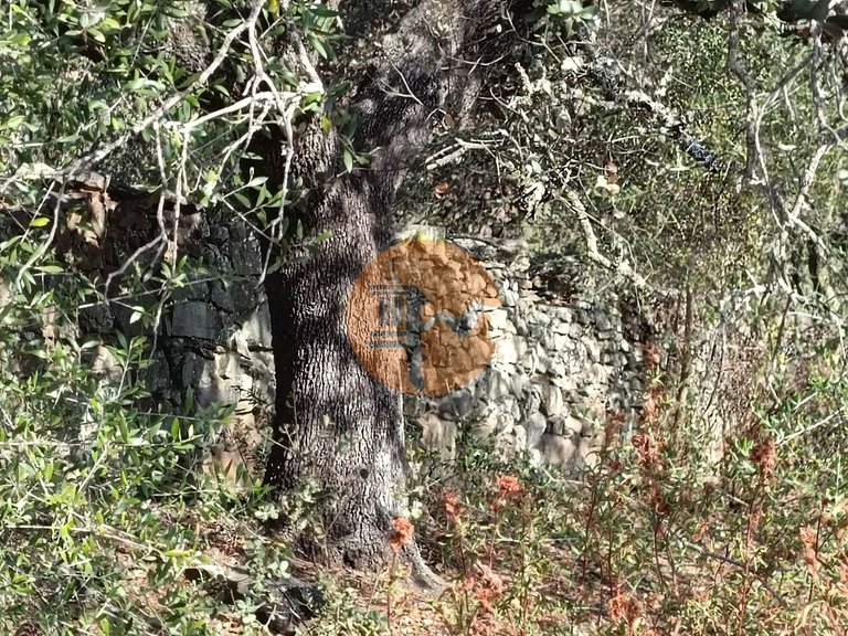 Plot for Sale in Azinhal, Castro Marim, Portugal 22