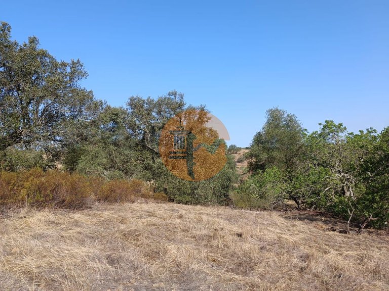 Plot for Sale in Azinhal, Castro Marim, Portugal 23